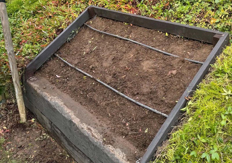 Linie kroplujące ułożone w podłożu drewnianej skrzyni